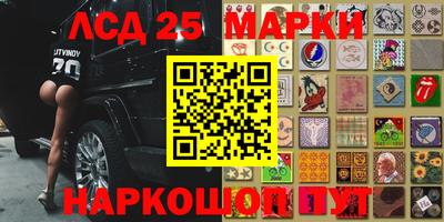 прущие грибы Среднеуральск