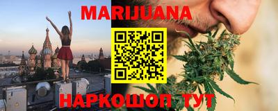 индика Брянск