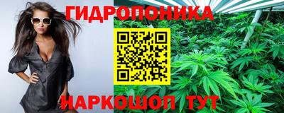 jwh Ставрополь