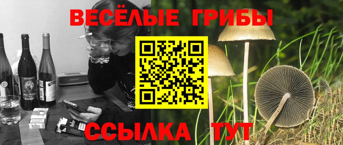 Галлюциногенные грибы Psilocybine cubensis  Псилоцибиновые грибы Psilocybe  Вход с VPN  Кузнецк 